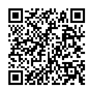 这种情况下我要抓紧时间找到老马和毛叔还有王圣二维码生成