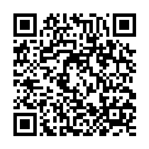 这种情况均是会直接并入临近区域强大冰雪生命麾下培养成长的二维码生成