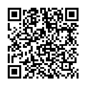 这种情形下他能保持这样理智已经是难能可贵了二维码生成