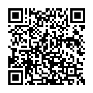 这种感觉和中了食人蜂尾针的麻痹感完全不一样二维码生成