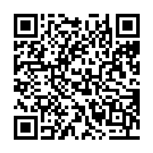 这种感觉和当时在避难所第一个筛选任务时感觉的一样二维码生成
