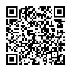 这种截然相反的两种状态矛盾地出现在张潇晗的脑海里二维码生成