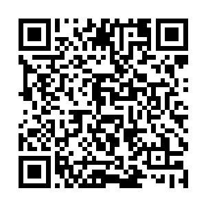 这种抱团冲锋的战术就被证明是最高效率的自杀行为二维码生成