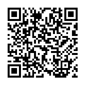 这种改观在知道了龙战和雪狼的关系后有了巨大的改变二维码生成