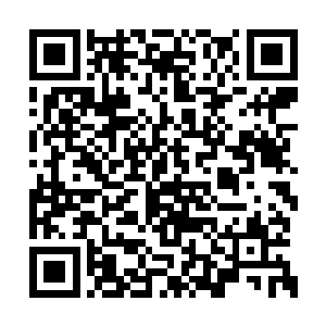 这种时候她难道不应该主动询问他为何可惜了么二维码生成