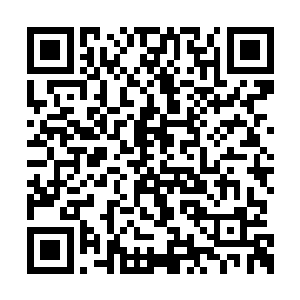这种暴力行为让不明真相的同舱机甲士为之侧目二维码生成
