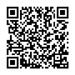 这种最原始又最野蛮的打架方式……简直是无话可说二维码生成