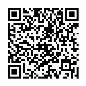 这种有道理的话当真是从叶风声的嘴巴里面说出来的吗二维码生成