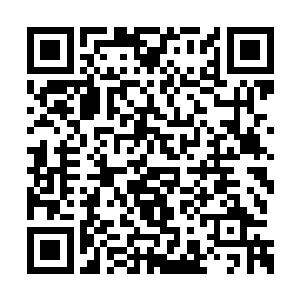 这种本土诞生的生灵的实力……似乎也不容小觑二维码生成