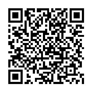 这种杀鸡取卵的事情是乔尔管家绝对做不出来的二维码生成