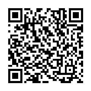 这种材质在今年的时尚圈子被使用的并不是太频繁二维码生成