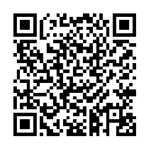 这种极端条件人工形成的条件反射有一个极为强大的后遗症二维码生成