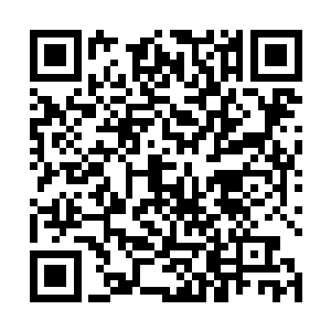 这种毛都没长齐全的小屁孩儿是怎么进医科大学教书的二维码生成