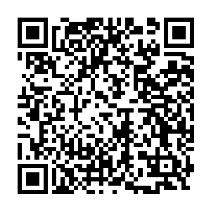 这种气质上的东西和华国很多美女还只停留在面容上好看大相径庭二维码生成