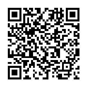这种气质的底蕴酣畅淋漓地将博柏利的魅力展现了出来二维码生成