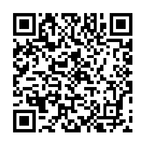 这种没用的东西为什么要送到我的实验室来浪费我的时间二维码生成