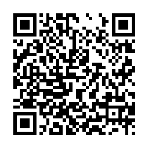 这种沦为豪门女子闺房用品的g800却成为了杨凌再世为人的希望二维码生成