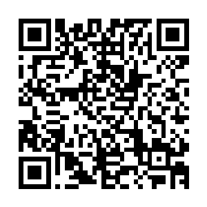 这种灵敏而美丽的生物对爆炸产生的声波的抵抗力更加的不堪二维码生成