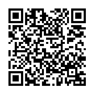 这种灵材对人的神魄和神念都有很强的增强和滋养作用二维码生成