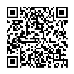 这种灵气转化成真元的速度是他们平时在湖泊中修炼的数倍二维码生成