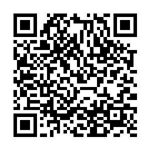 这种煲电话粥几乎成了两人乐此不疲的一种精神享受二维码生成