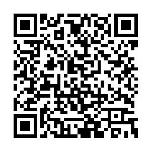 这种玉简在西华城所有的家族中都有那么两三枚二维码生成