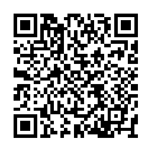 这种理想化的结局只有你这种书呆子才想得出来二维码生成