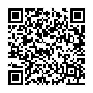 这种用血祭之法召出的血灵剑可以斩断灵气和真气二维码生成
