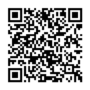 这种甲壳虫的六只短腿死死的抓着巴菲特的胃壁二维码生成