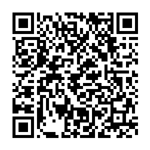 这种疼痛相比苏凡没有进入空灵之境之前的一脚来说要重的太多太多二维码生成