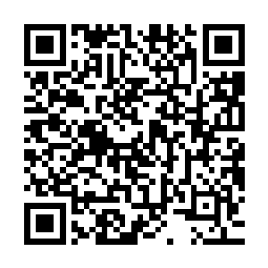 这种白皙的纯洁的本来不该出现在冥界的神光映照着大殿的一切二维码生成