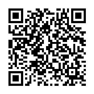这种直觉就像当初第一眼见到寻龙盘时候的感觉是一样的二维码生成