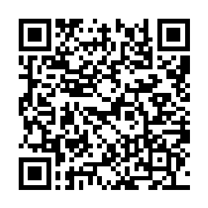 这种硬生生的被人硬生生的将记忆谁也是不愿意的二维码生成
