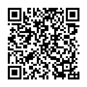 这种神智清醒着不加抵御地将自身与冥城炼化到一起的过程二维码生成