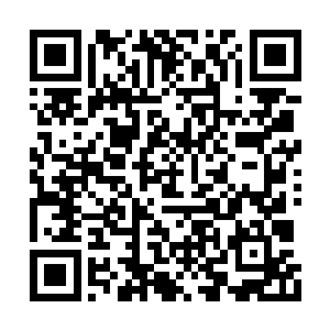 这种秘法可以让龙族的魂魄暂时脱离庞大的本体二维码生成