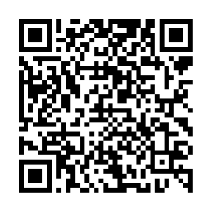 这种程度的再生已经一口气用了他70％的身体能量了二维码生成