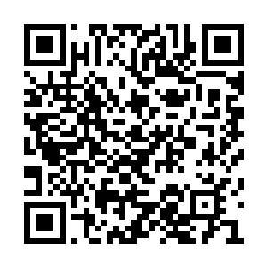 这种简单的不能再简单的装饰让莫小鱼眼前一亮二维码生成