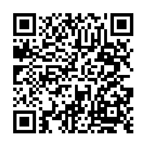 这种纵横宇宙的顶级掠食者并没有激进改变基因的必要二维码生成