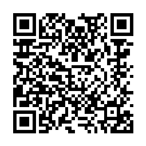 这种绿色的池水在外面是从来都没有出现过的东西二维码生成