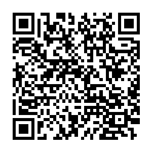 这种美国乡下人最喜欢的便宜步枪装上瞄准镜就成了打鸟的猎枪利器二维码生成