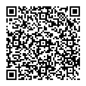 这种能够威胁飞艇空中航道安全的生物突然在原本安全的飞艇航道间没有一点征兆的大量出现二维码生成