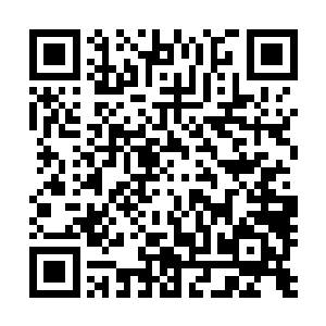 这种能接触到机密的位置苗毅又怎么可能用一个口无遮拦的二维码生成