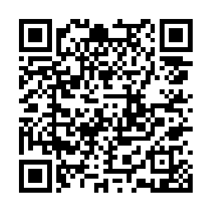 这种舒服的感觉比之上一次吞噬鲨鱼还要来的畅快二维码生成