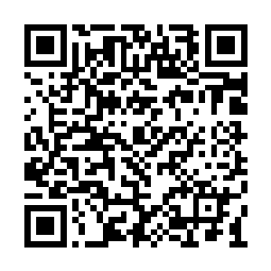 这种行为简直就和公然与雷克斯作对也差不多了二维码生成