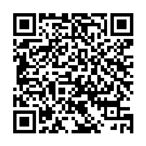 这种角色用格斗专精怎么都无法搞定的吧……无论预判能力二维码生成