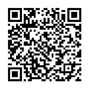 这种轻松融洽的氛围其实有利于拍出一部好电影是吗二维码生成