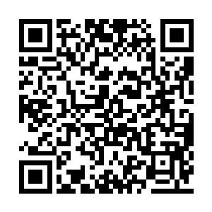 这种连红绿灯都没有的小路口竟然都敢骑这么快二维码生成