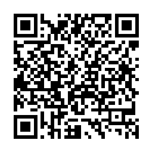 这种金龟焱液对于火系异能者而言可谓是提升实力的至宝二维码生成