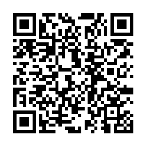 这种镇派之宝一般來说只有第二境界的长老有资格修炼二维码生成