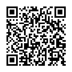 这种需慢慢炼化愿力珠中七情六欲的方式令他有些不耐烦二维码生成